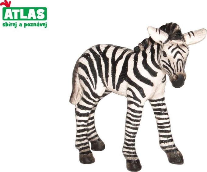 B - Figurka Zebra hříbě 7cm, Atlas, W101820